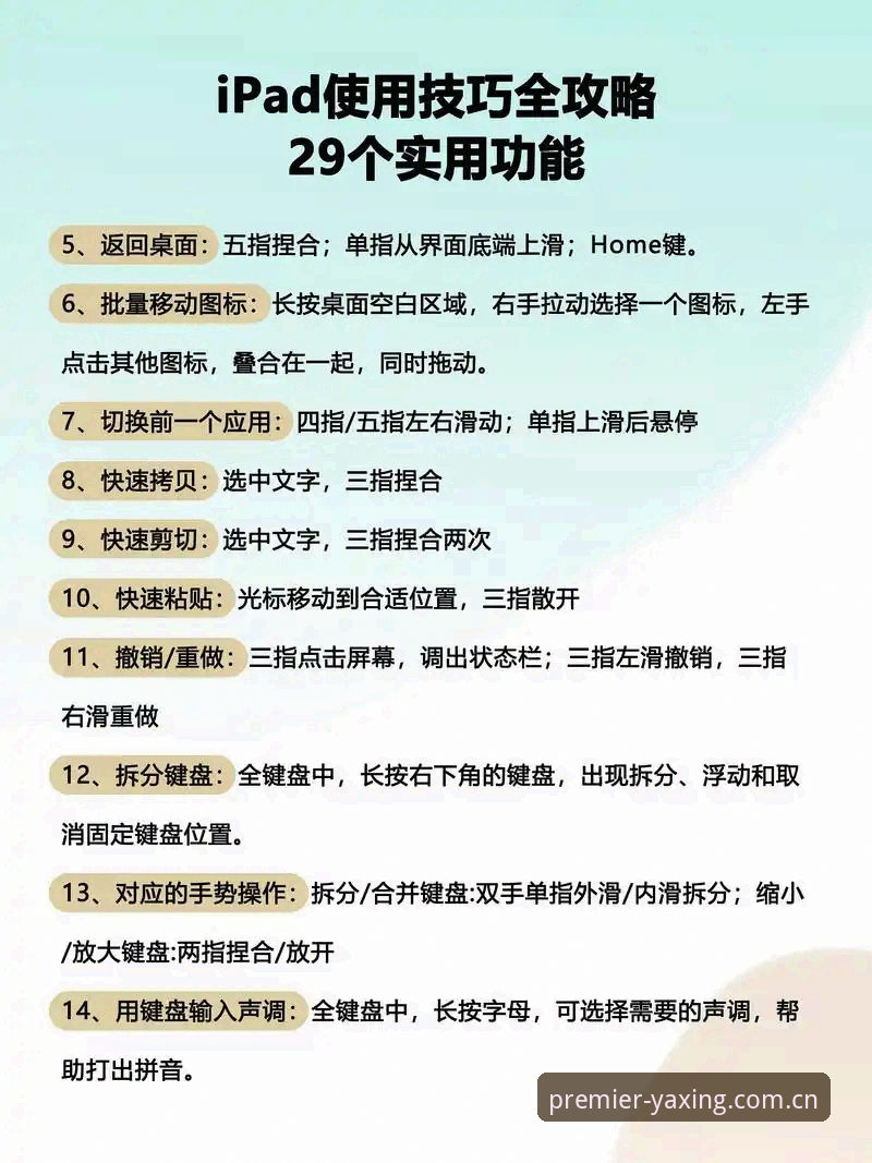 3大关键步骤掌握2026亚星YX入口,老用户分享5个高效使用技巧